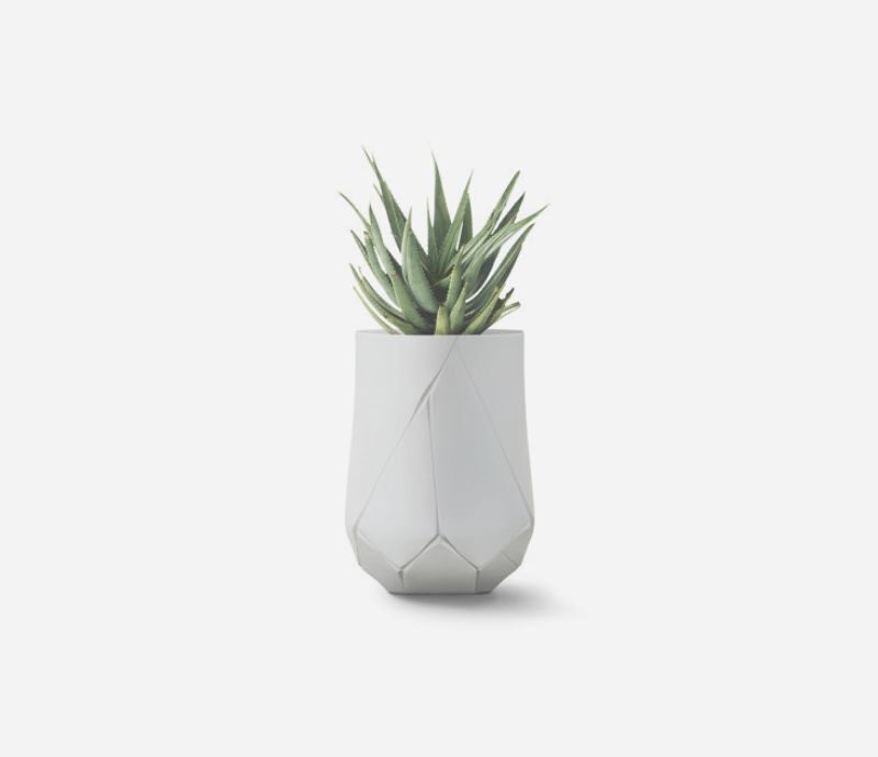 Bhaca Planter - Indigenus