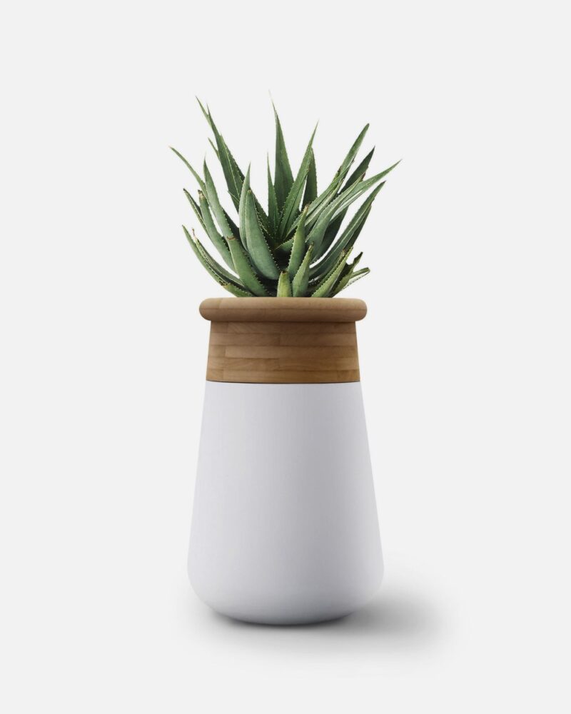 Soma Planter - Indigenus